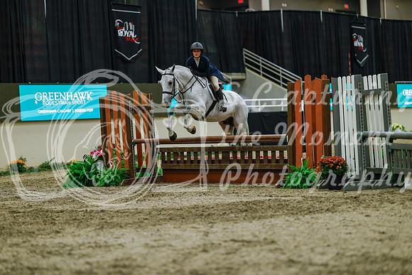 2025 - Haylee - Royal West - Saturday October 18th - 04486