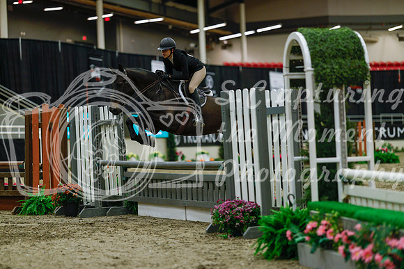 2025 - Haylee - Royal West - Saturday October 18th - 04144