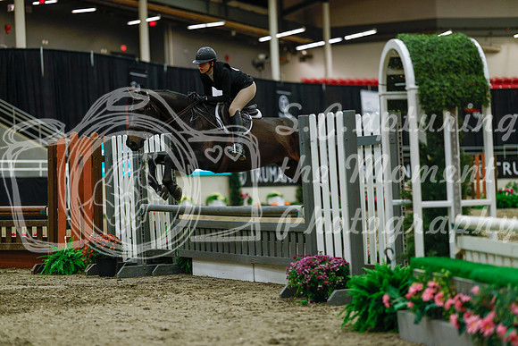 2025 - Haylee - Royal West - Saturday October 18th - 04146