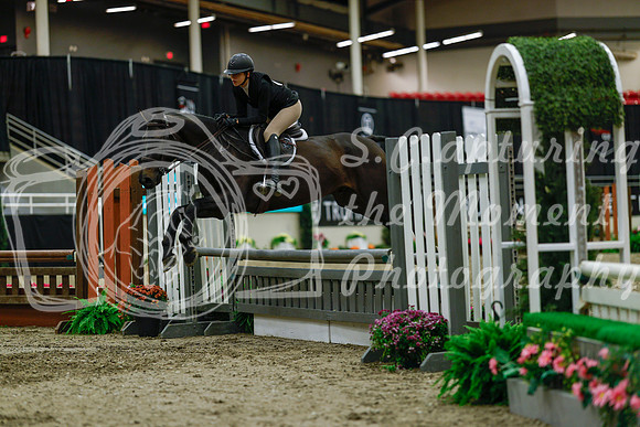 2025 - Haylee - Royal West - Saturday October 18th - 04148