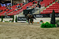 2025 - Haylee - Royal West - Saturday October 18th - 04150