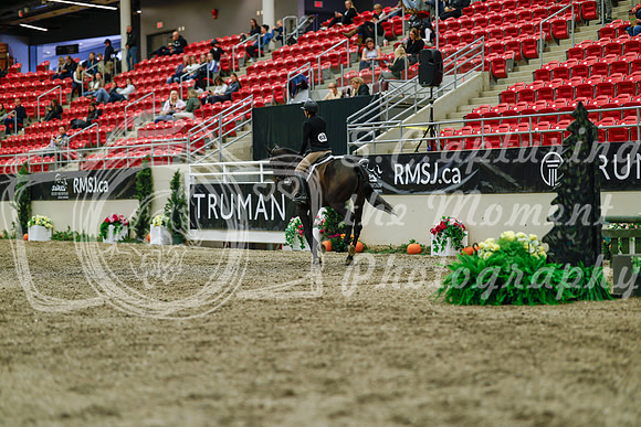 2025 - Haylee - Royal West - Saturday October 18th - 04150
