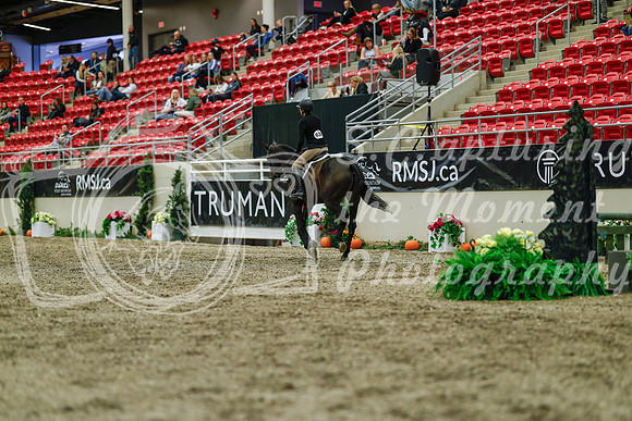 2025 - Haylee - Royal West - Saturday October 18th - 04151