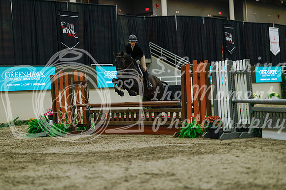 2025 - Haylee - Royal West - Saturday October 18th - 04154