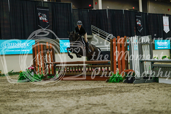 2025 - Haylee - Royal West - Saturday October 18th - 04155