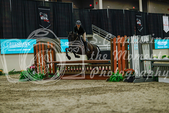 2025 - Haylee - Royal West - Saturday October 18th - 04156