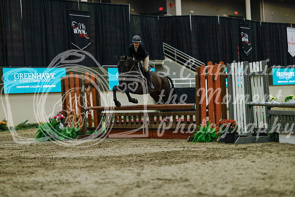 2025 - Haylee - Royal West - Saturday October 18th - 04157