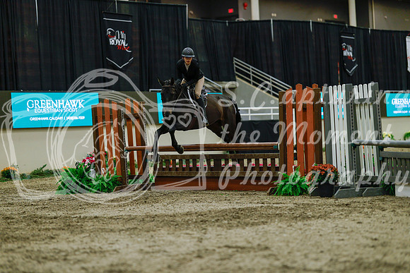 2025 - Haylee - Royal West - Saturday October 18th - 04159