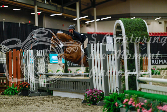 2025 - Haylee - Royal West - Saturday October 18th - 04054