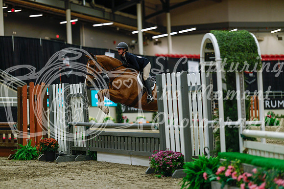 2025 - Haylee - Royal West - Saturday October 18th - 04055
