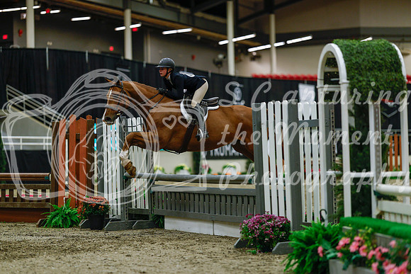 2025 - Haylee - Royal West - Saturday October 18th - 04059
