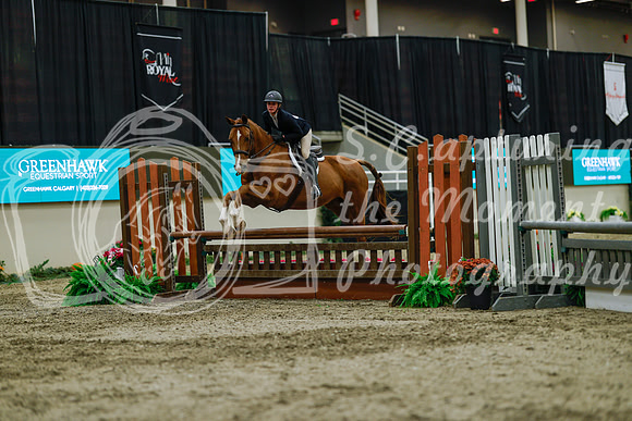 2025 - Haylee - Royal West - Saturday October 18th - 04064