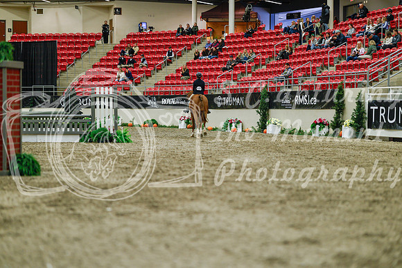 2025 - Haylee - Royal West - Saturday October 18th - 04071