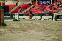 2025 - Haylee - Royal West - Saturday October 18th - 04073