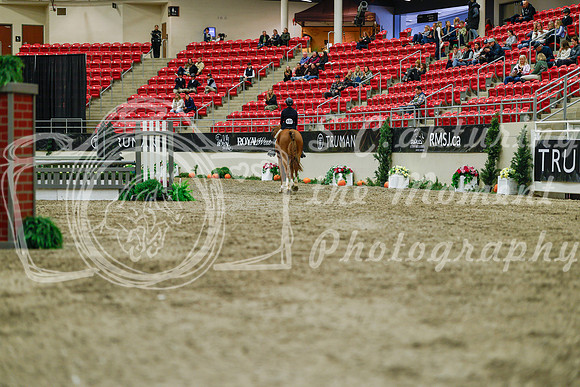 2025 - Haylee - Royal West - Saturday October 18th - 04073