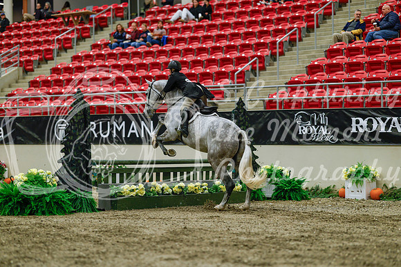 2025 - Haylee - Royal West - Saturday October 18th - 04082