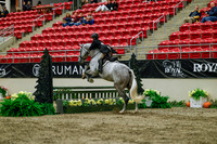2025 - Haylee - Royal West - Saturday October 18th - 04083