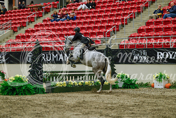 2025 - Haylee - Royal West - Saturday October 18th - 04083