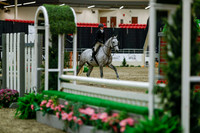 2025 - Haylee - Royal West - Saturday October 18th - 04085