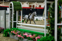 2025 - Haylee - Royal West - Saturday October 18th - 04087