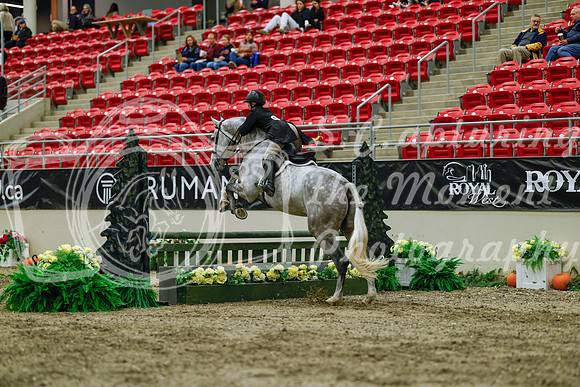 2025 - Haylee - Royal West - Saturday October 18th - 04084