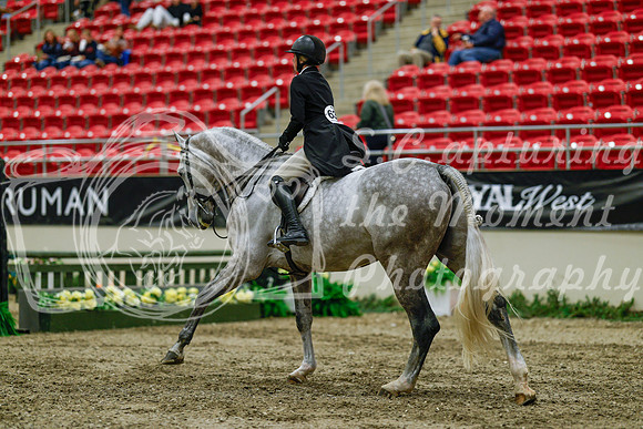 2025 - Haylee - Royal West - Saturday October 18th - 04105