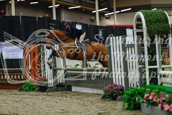 2025 - Haylee - Royal West - Saturday October 18th - 03599
