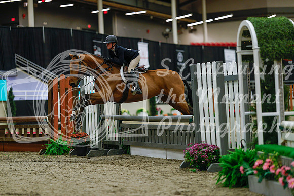 2025 - Haylee - Royal West - Saturday October 18th - 03601