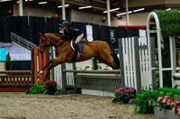 2025 - Haylee - Royal West - Saturday October 18th - 03602