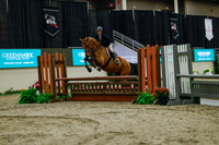 2025 - Haylee - Royal West - Saturday October 18th - 03606