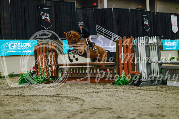 2025 - Haylee - Royal West - Saturday October 18th - 03608