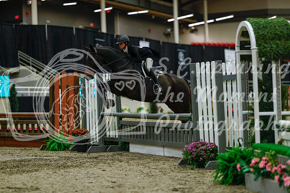 2025 - Haylee - Royal West - Saturday October 18th - 04116