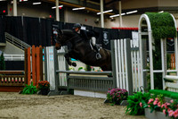 2025 - Haylee - Royal West - Saturday October 18th - 04114