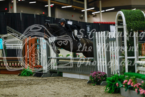 2025 - Haylee - Royal West - Saturday October 18th - 04115