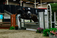 2025 - Haylee - Royal West - Saturday October 18th - 04117
