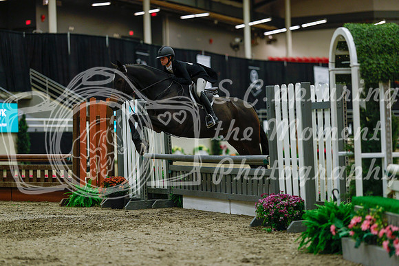 2025 - Haylee - Royal West - Saturday October 18th - 04117