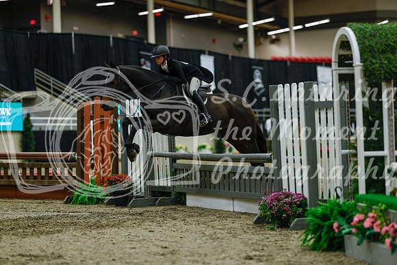 2025 - Haylee - Royal West - Saturday October 18th - 04118