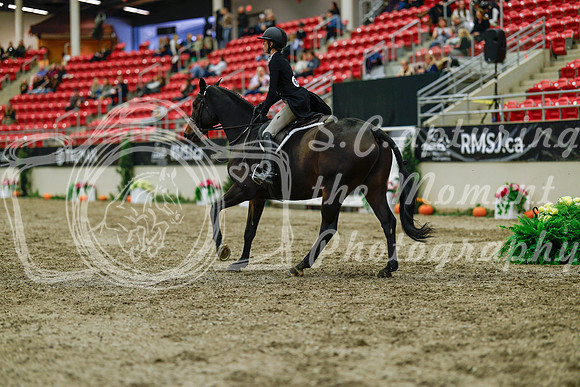 2025 - Haylee - Royal West - Saturday October 18th - 04136