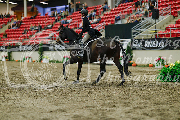 2025 - Haylee - Royal West - Saturday October 18th - 04137