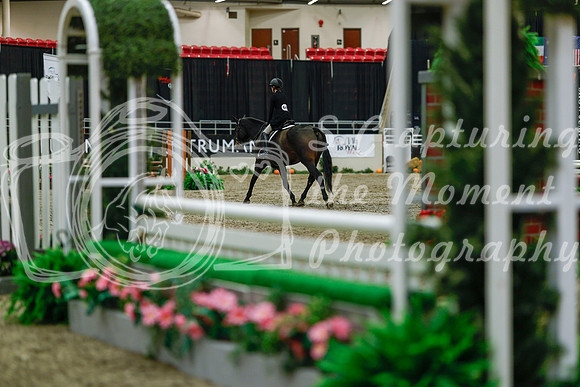 2025 - Haylee - Royal West - Saturday October 18th - 04140