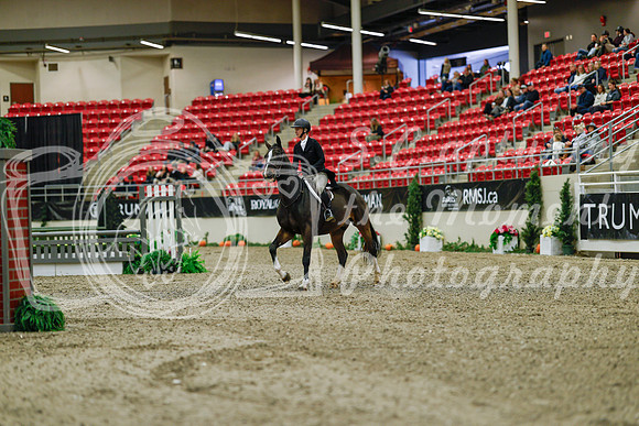 2025 - Haylee - Royal West - Saturday October 18th - 03620
