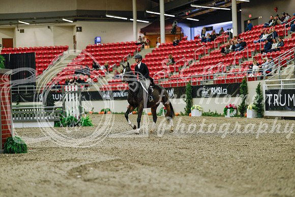 2025 - Haylee - Royal West - Saturday October 18th - 03619