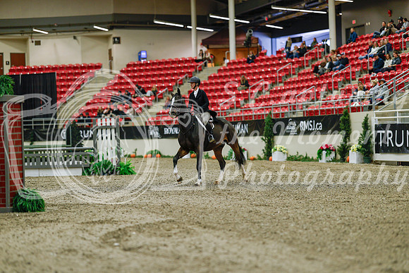 2025 - Haylee - Royal West - Saturday October 18th - 03621
