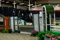 2025 - Haylee - Royal West - Saturday October 18th - 03624