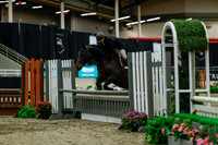 2025 - Haylee - Royal West - Saturday October 18th - 04175