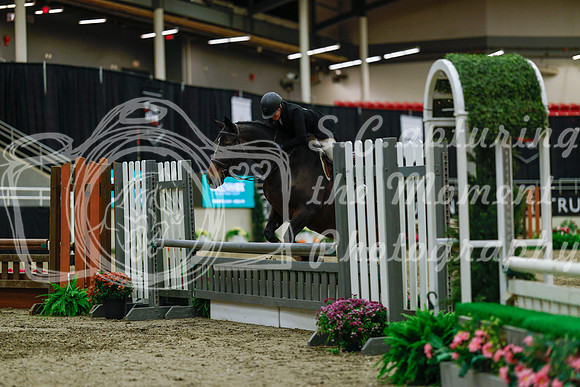 2025 - Haylee - Royal West - Saturday October 18th - 04174