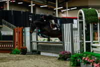 2025 - Haylee - Royal West - Saturday October 18th - 04179