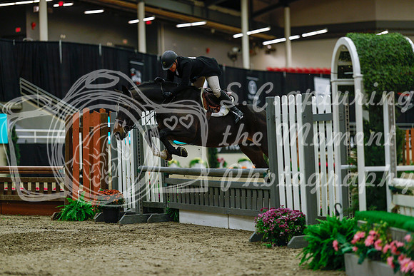 2025 - Haylee - Royal West - Saturday October 18th - 04181