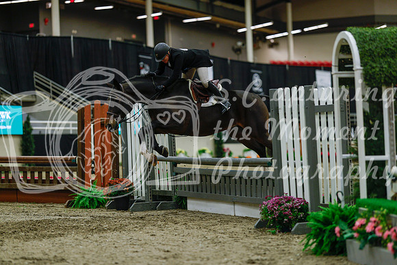 2025 - Haylee - Royal West - Saturday October 18th - 04183