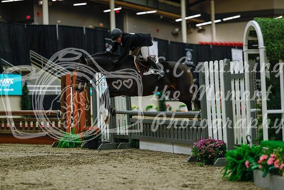 2025 - Haylee - Royal West - Saturday October 18th - 04184